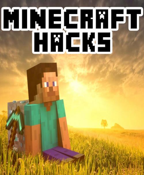 Cover of the book Minecraft Hacks by Aqua Apps, Aqua Apps