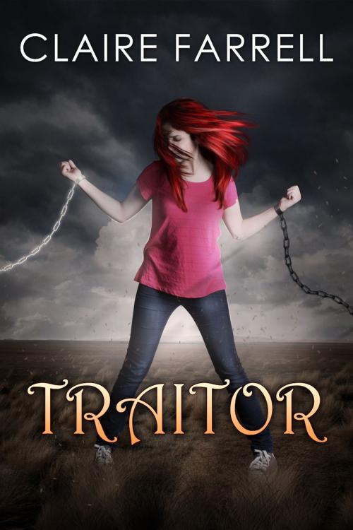 Cover of the book Traitor (Ava Delaney #6) by Claire Farrell, Claire Farrell