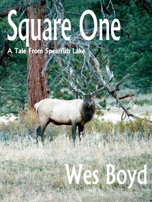 Cover of the book Square One by Wes Boyd, Spearfish Lake Tales