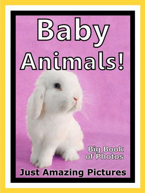 Cover of the book Just Baby Animal Photos! Big Book of Photographs & Pictures of Baby Animals, Vol. 5 by Big Book of Photos, Big Book of Photos