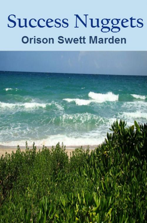 Cover of the book Success Nuggets by Orison Swett Marden, The Awakened Publishing