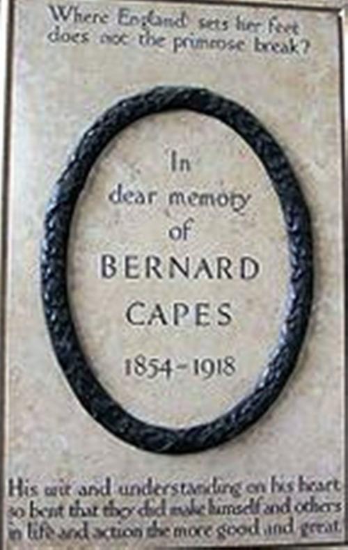 Cover of the book The Will and The Way by Bernard Capes, WDS Publishing