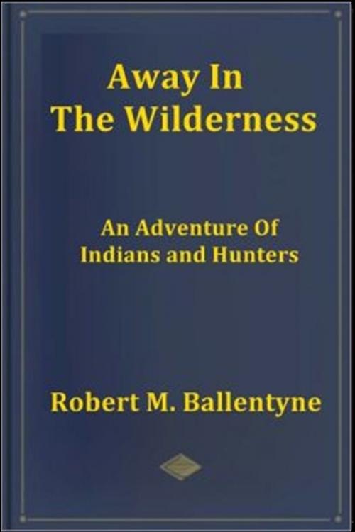 Cover of the book Away in the Wilderness by R. M. Ballentyne, Classic Adventures