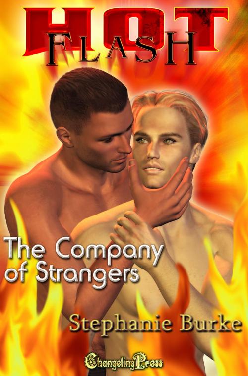 Cover of the book In the Company of Strangers by Stephanie Burke, Changeling Press LLC