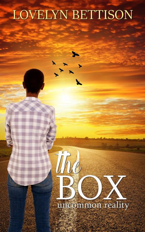 Cover of the book The Box by Lovelyn Bettison, Nebulous Mooch Publishing