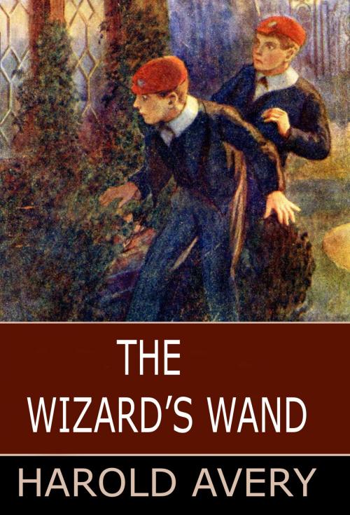 Cover of the book The Wizard's Wand by Harold Avery, Blackthorn Press
