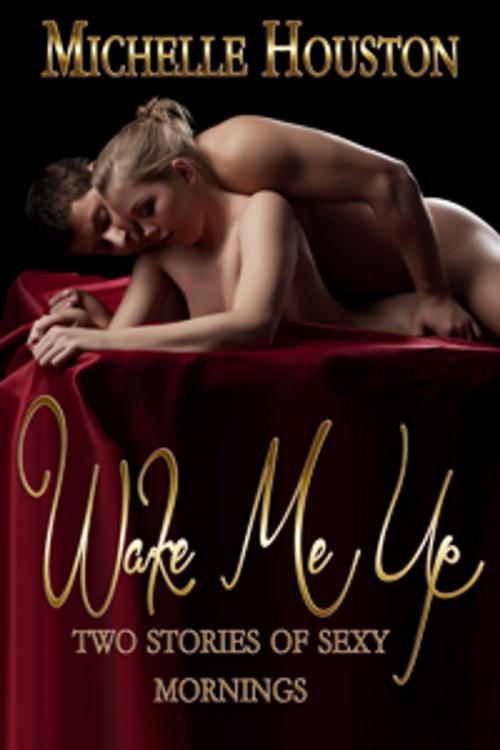 Cover of the book Wake Me Up by Michelle Houston, Unleashed Ink