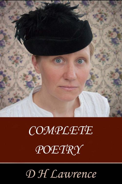 Cover of the book Complete Poetry by D H Lawrence, Blackthorn Press