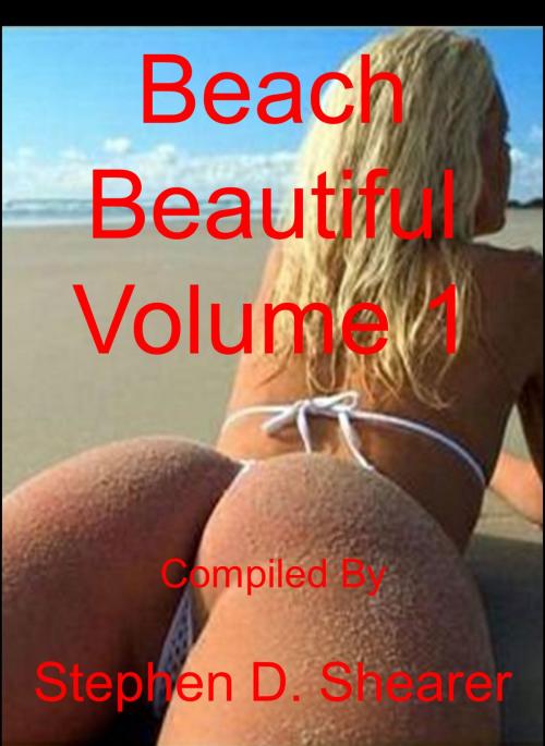 Cover of the book Beach Beautiful Volume 01 by Stephen Shearer, Butchered Tree Productions