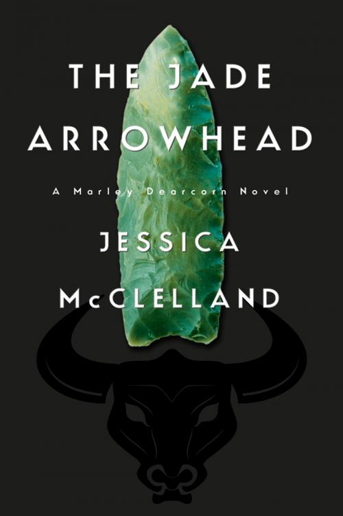 Cover of the book The Jade Arrowhead by Jessica McClelland, Cold River Studio