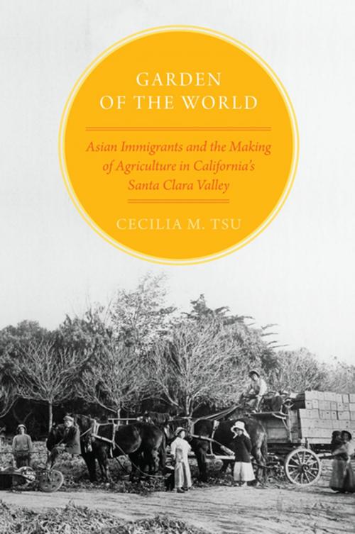 Cover of the book Garden of the World by Cecilia M. Tsu, Oxford University Press