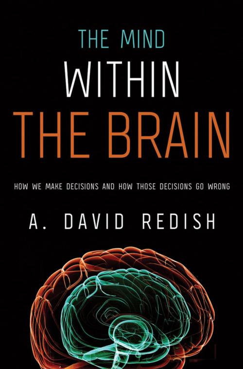 Cover of the book The Mind within the Brain: How We Make Decisions and How those Decisions Go Wrong by A. David Redish, Oxford University Press, USA