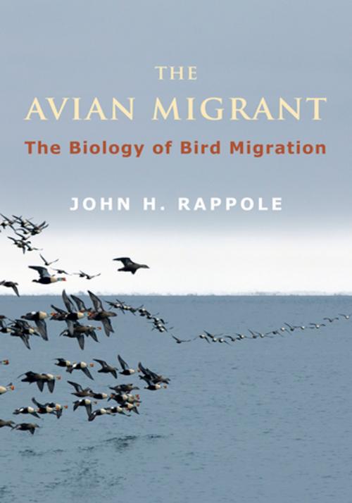 Cover of the book The Avian Migrant by John Rappole, Columbia University Press