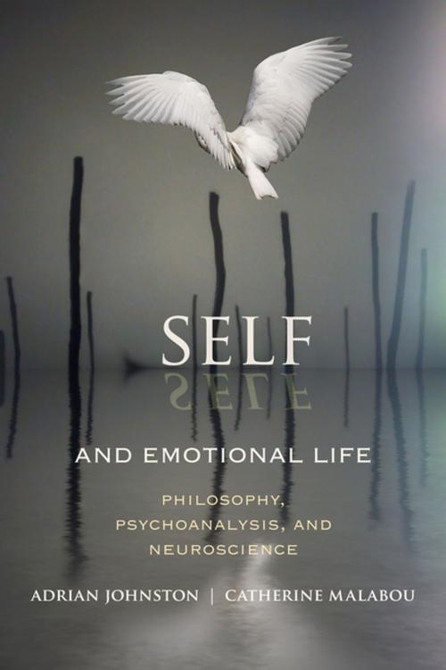 Cover of the book Self and Emotional Life by Adrian Johnston, Catherine Malabou, Columbia University Press