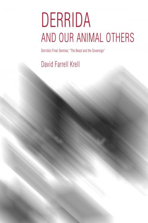 Cover of the book Derrida and Our Animal Others by David Farrell Krell, Indiana University Press