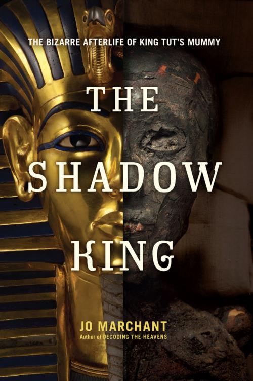 Cover of the book The Shadow King by Jo Marchant, Hachette Books