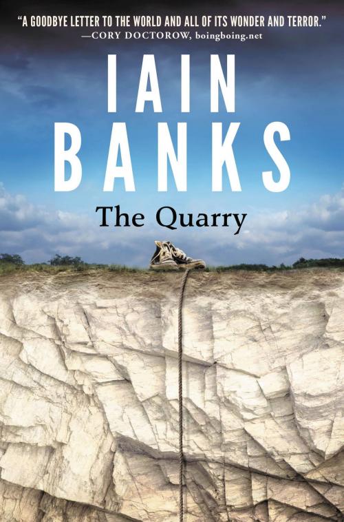 Cover of the book The Quarry by Iain M. Banks, Orbit