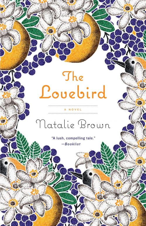 Cover of the book The Lovebird by Natalie Brown, Knopf Doubleday Publishing Group