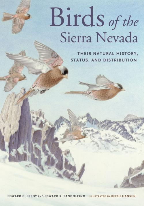 Cover of the book Birds of the Sierra Nevada by Ted Beedy, Ed Pandolfino, University of California Press