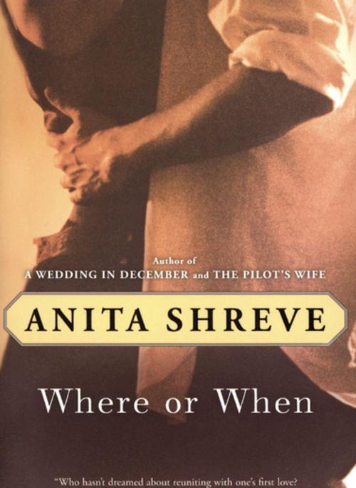 Cover of the book Where or When by Anita Shreve, Houghton Mifflin Harcourt