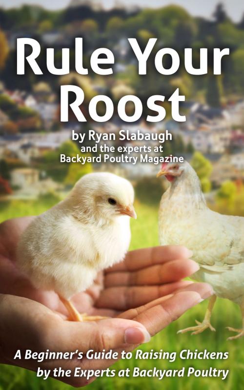 Cover of the book Rule Your Roost by Ryan Slabaugh, Chad Knight