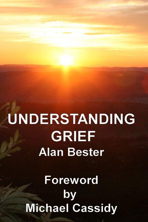Cover of the book Understanding Grief by Alan Bester, Alan Bester