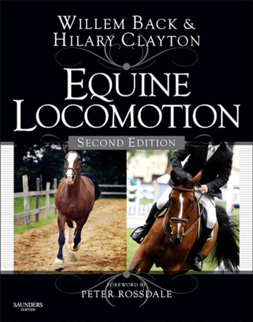 Cover of the book Equine Locomotion by Willem Back, Hilary M. Clayton, Elsevier Health Sciences UK