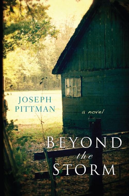 Cover of the book Beyond the Storm by Joseph Pittman, Kensington Books