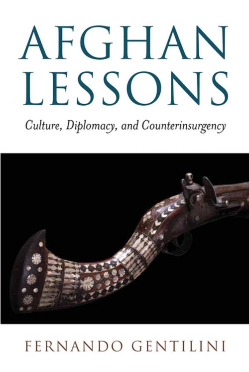 Cover of the book Afghan Lessons by Fernando Gentilini, Brookings Institution Press