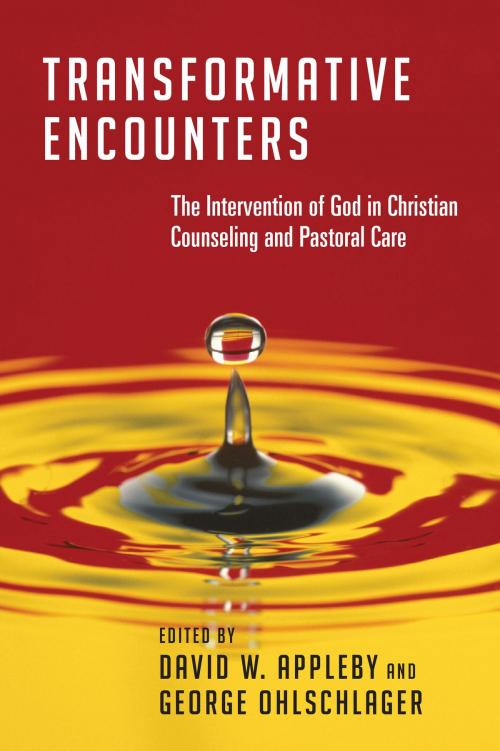 Cover of the book Transformative Encounters by David W. Appleby, InterVarsity Press