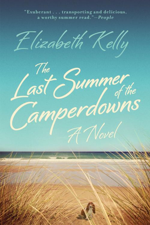 Cover of the book The Last Summer of the Camperdowns: A Novel by Elizabeth Kelly, Liveright