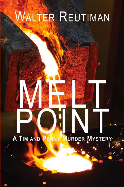 Cover of the book Melt Point by Walter Reutiman, North Star Press of St. Cloud