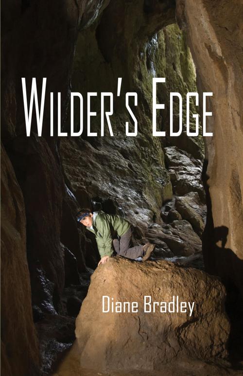 Cover of the book Wilder's Edge by Diane Bradley, North Star Press of St. Cloud