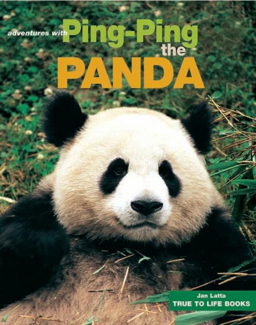 Cover of the book Ping Ping the Panda by Jan Latta, True to Life Books