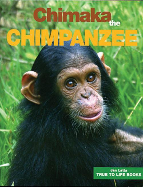 Cover of the book Chimaka the Chimpanzee by Jan Latta, True to Life Books