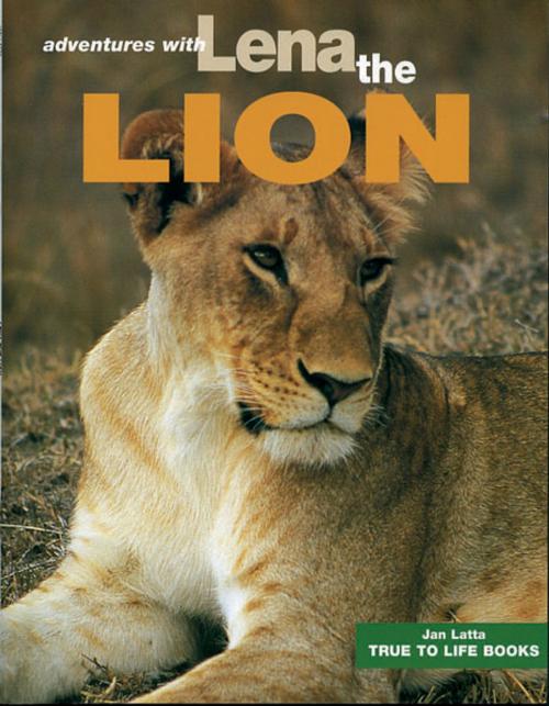 Cover of the book Lena the Lion by Jan Latta, True to Life Books