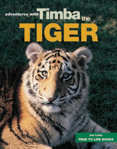 Cover of the book Timba the Tiger by Jan Latta, True to Life Books