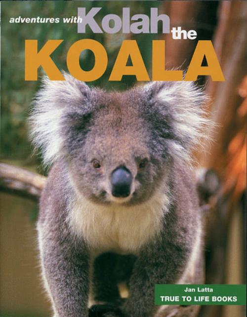 Cover of the book Kolah the Koala by Jan Latta, True to Life Books