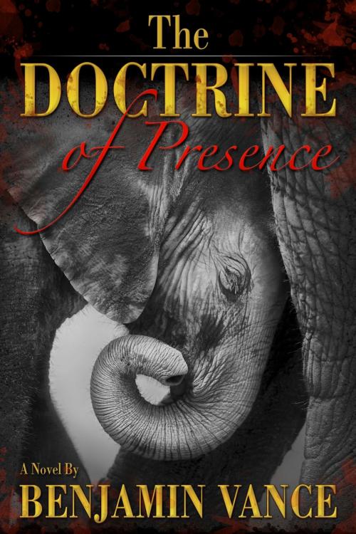 Cover of the book The Doctrine of Presence by Benjamin Vance, Benjamin Vance