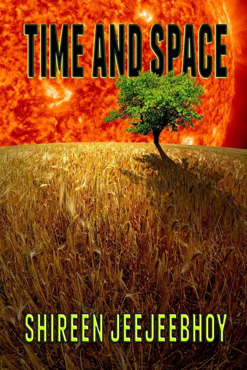 Cover of the book Time and Space by Shireen Jeejeebhoy, Shireen Jeejeebhoy