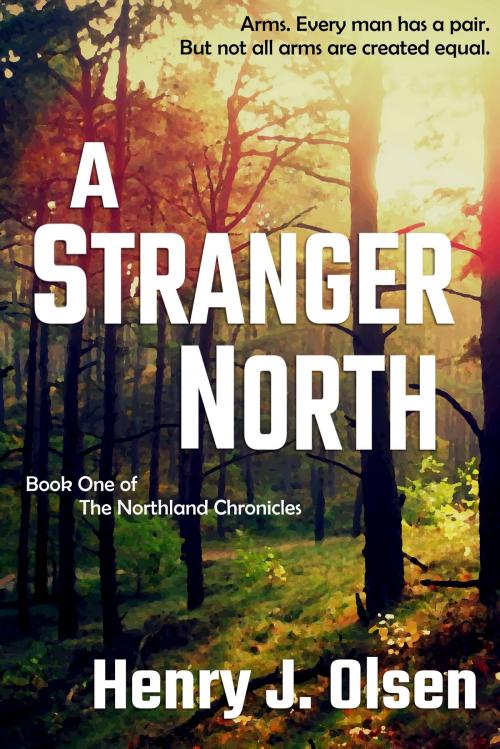 Cover of the book A Stranger North by Henry J. Olsen, Unbound Adventure Press