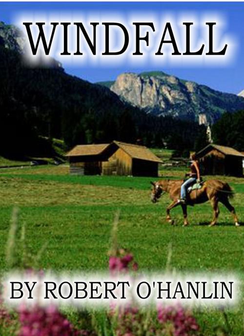 Cover of the book Windfall by Robert O' Hanlin, Robert O' Hanlin