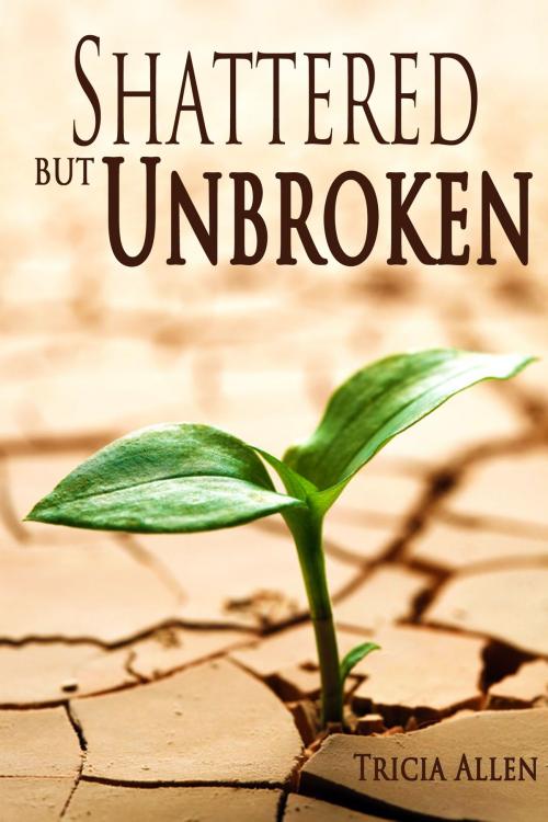 Cover of the book Shattered But Unbroken by Tricia Allen, Tricia Allen