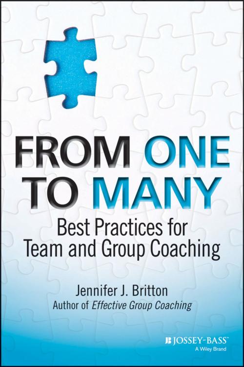 Cover of the book From One to Many by Jennifer J. Britton, Wiley