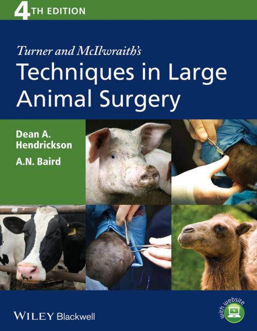 Cover of the book Turner and McIlwraith's Techniques in Large Animal Surgery by Dean A. Hendrickson, A. N. Baird, Wiley