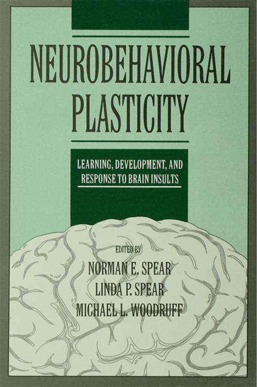 Cover of the book Neurobehavioral Plasticity by , Taylor and Francis