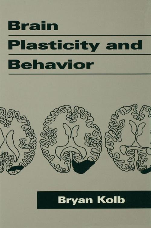 Cover of the book Brain Plasticity and Behavior by Bryan Kolb, Taylor and Francis