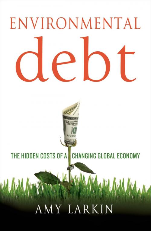 Cover of the book Environmental Debt by Amy Larkin, St. Martin's Press