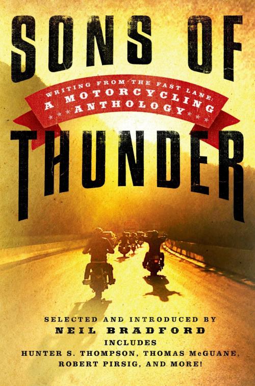 Cover of the book Sons of Thunder by , St. Martin's Press