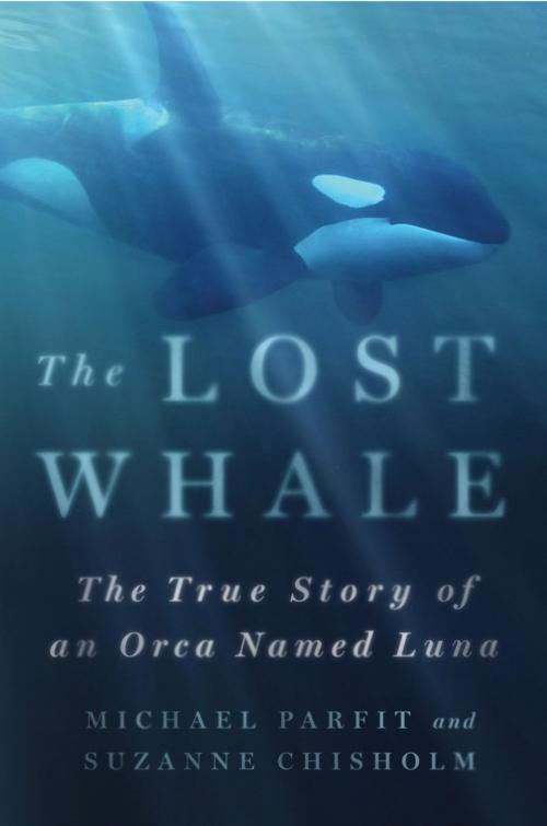 Cover of the book The Lost Whale by Michael Parfit, Suzanne Chisholm, St. Martin's Press